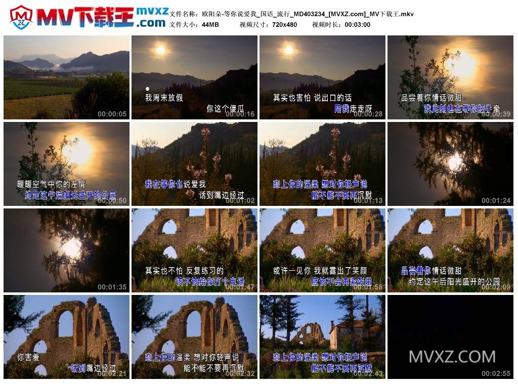 欧阳朵-等你说爱我_国语_流行_MD403234